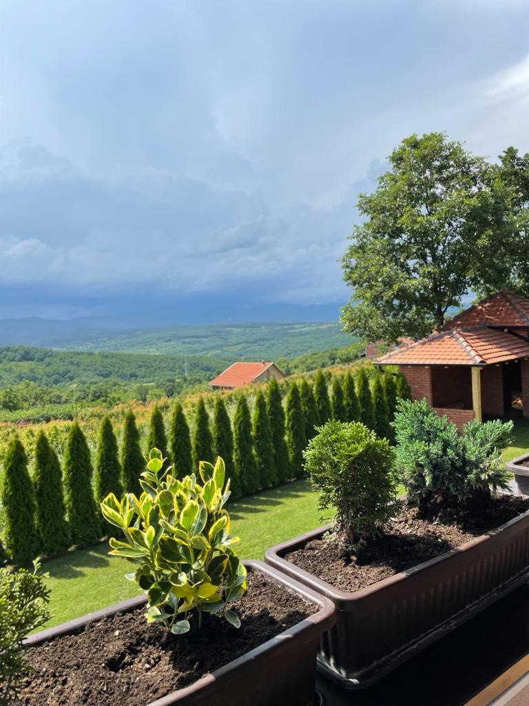 Apartmani Milosavljević - Hizvo