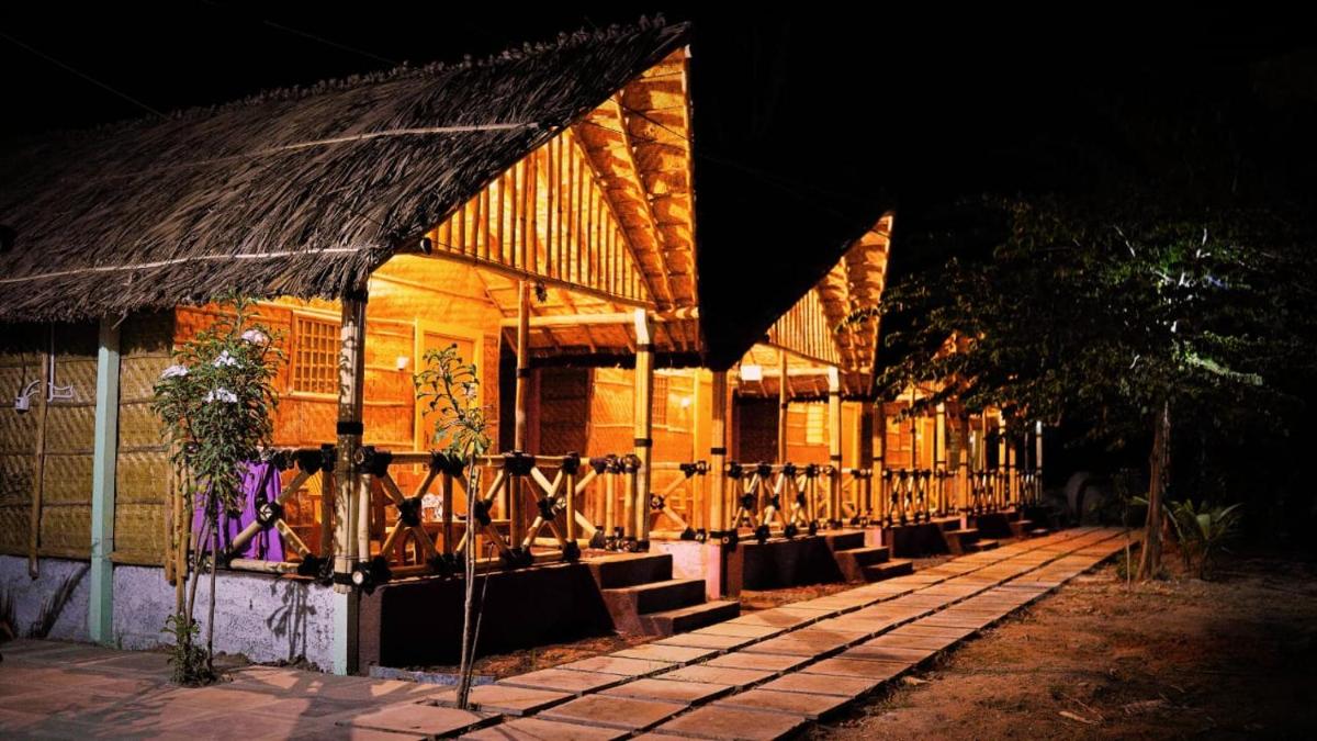 Hampi Crzy Panda - Housity