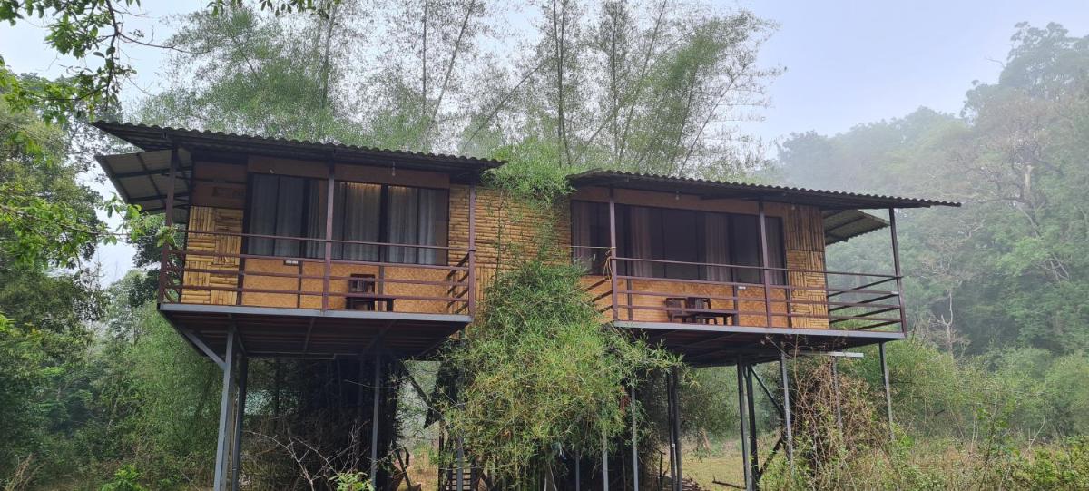 Deep Jungle Home Bandipur Mudumalai - Housity
