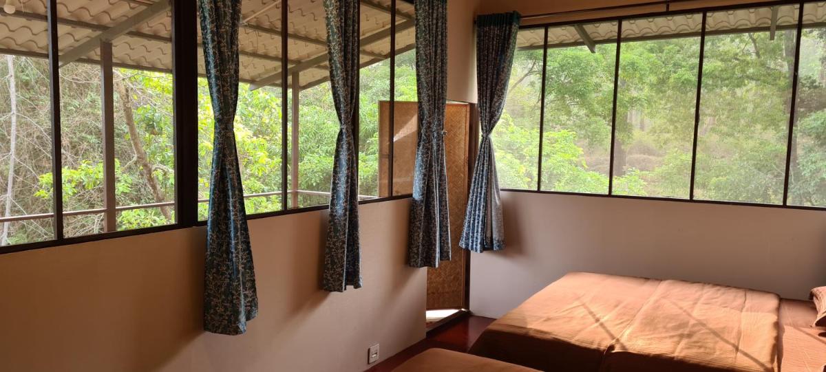 Deep Jungle Home Bandipur Mudumalai - Housity