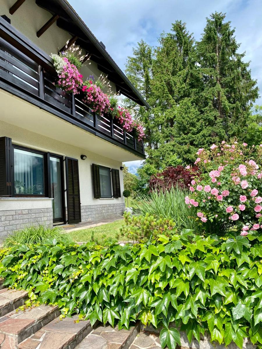 Homestay Ostan - Housity