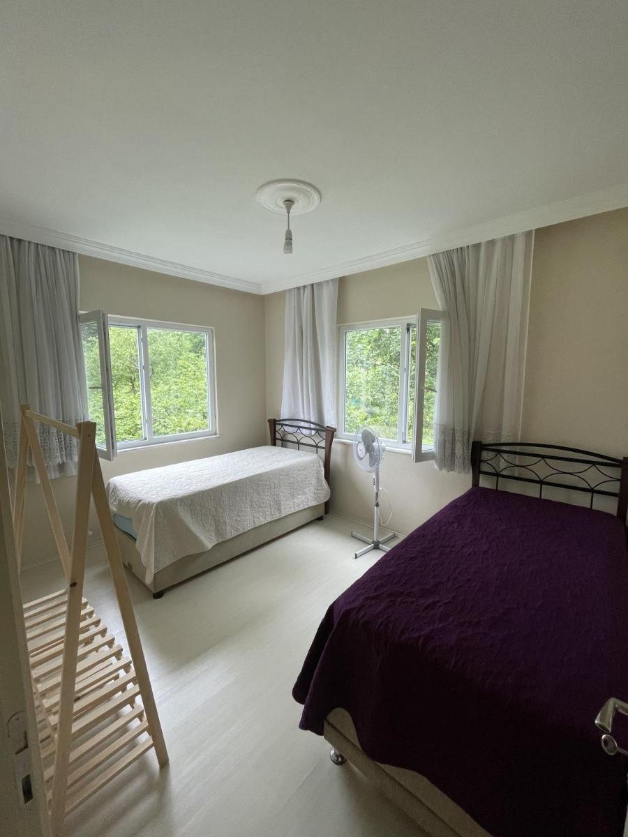 Arsinhouse family suit - Housity