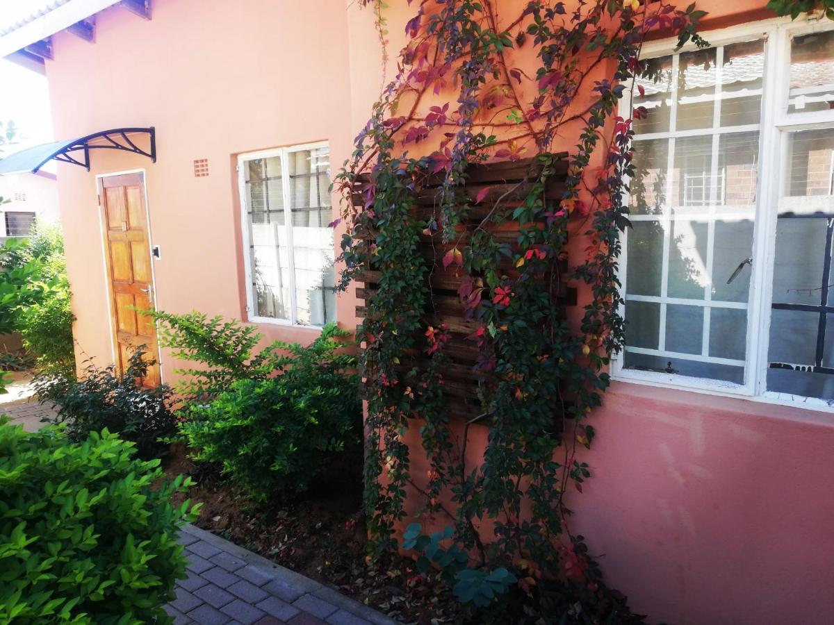 Mashusha Bed & Breakfast - Hizvo