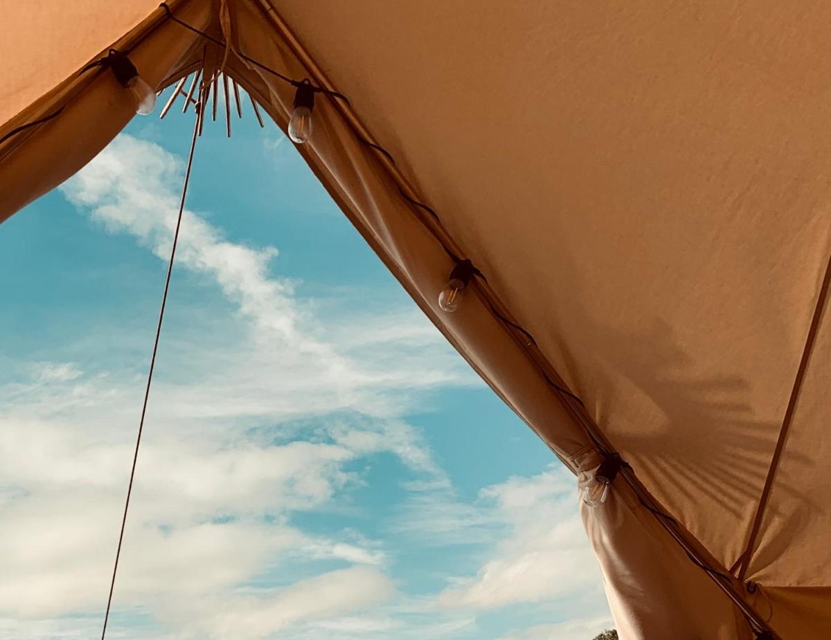 Forest Side Glamping Herts & Essex - Housity