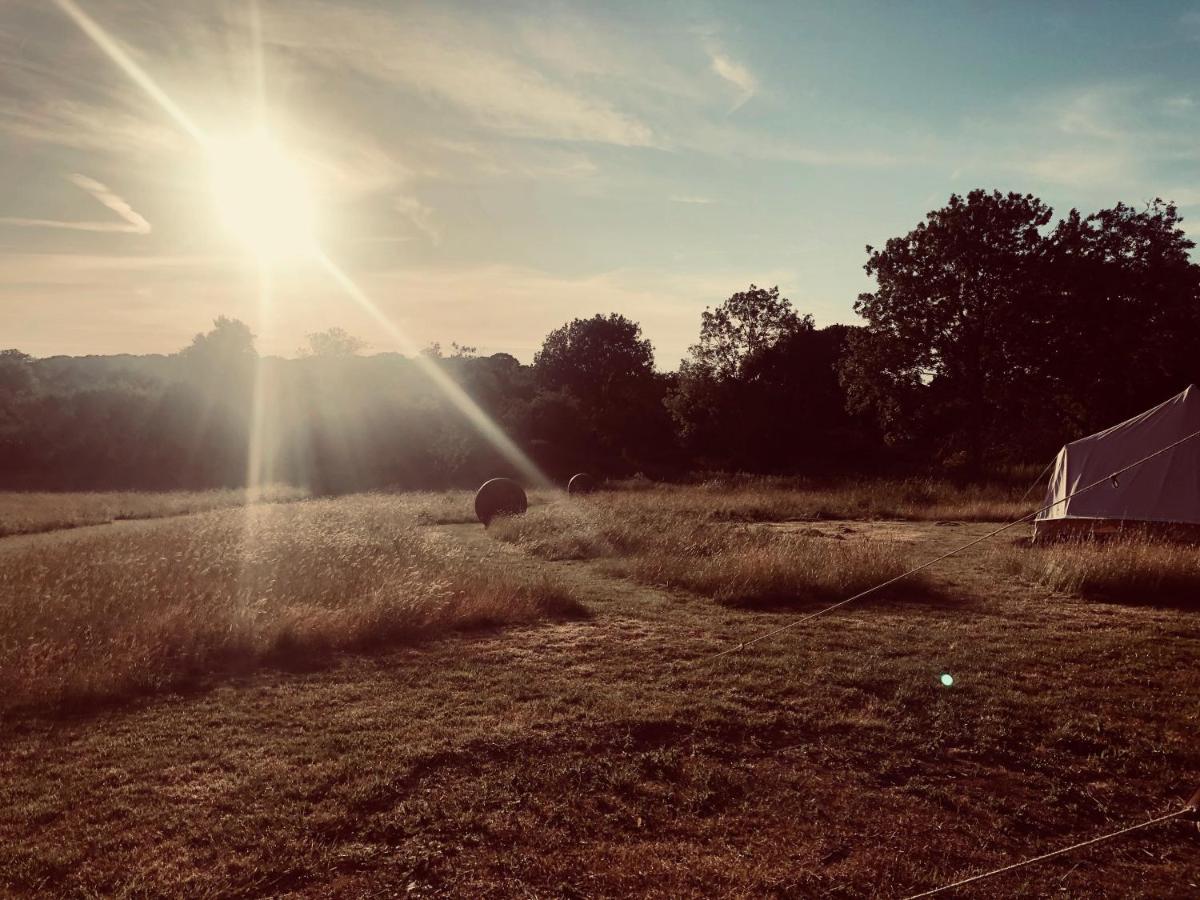 Forest Side Glamping Herts & Essex - Housity
