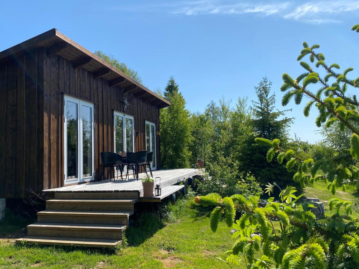 Cozy forest cabin with amazing mountain view - Housity