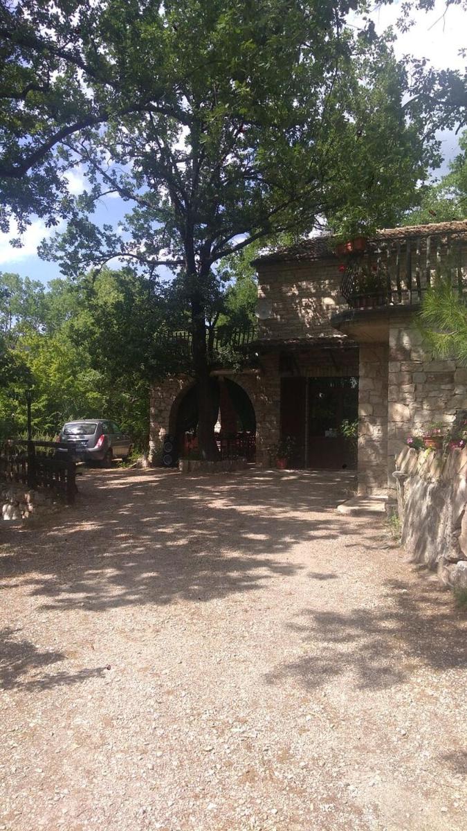 Agriturismo Giacomo Alberione - Housity