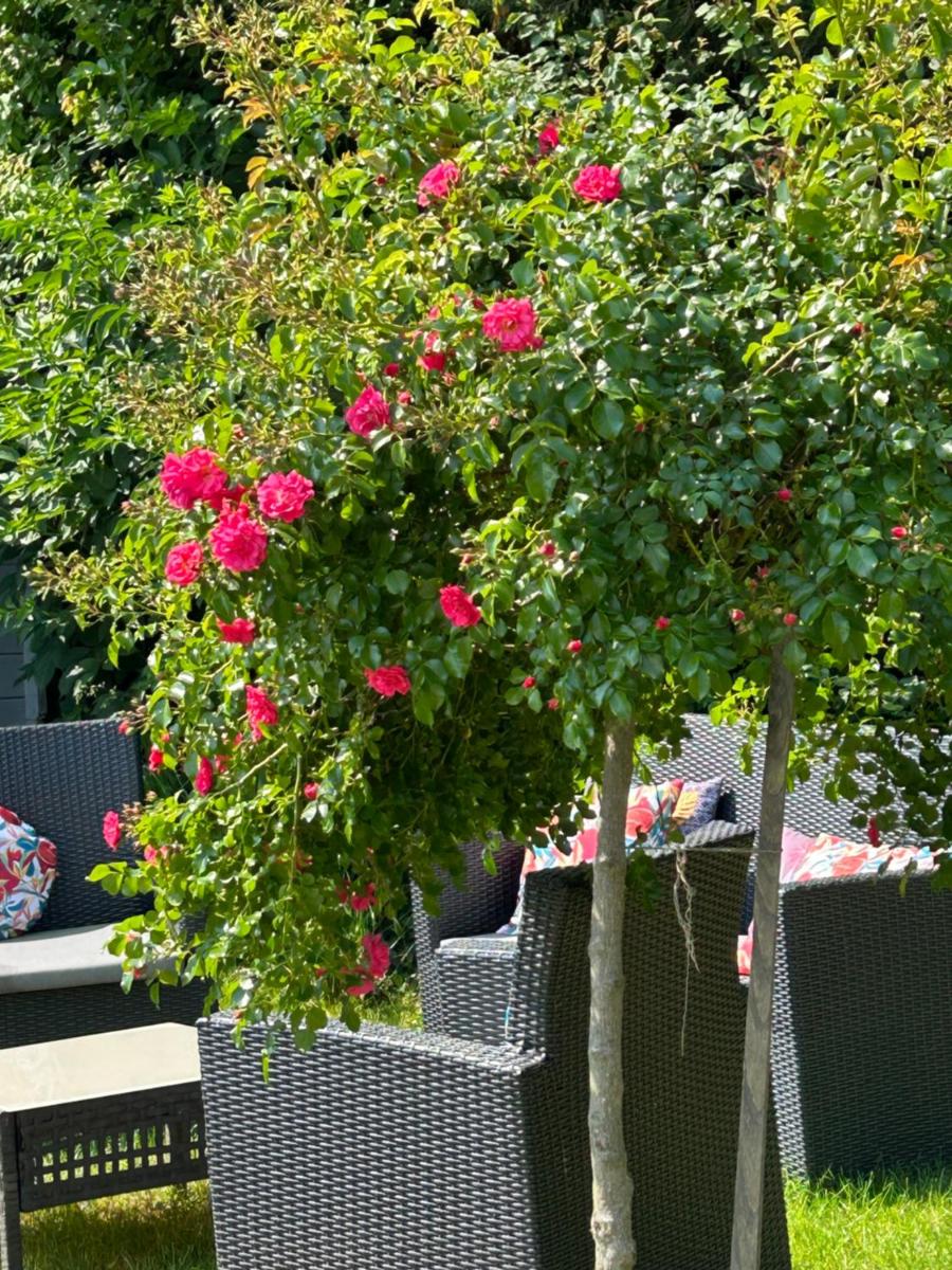 La Glycine B&B - Housity
