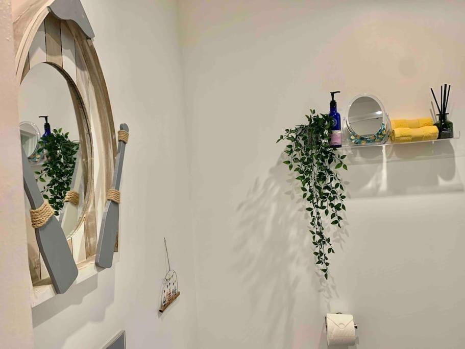 BOURNEMOUTH Nr TOWN BEACH TRAIN COACH SHOPS Lovely ENTIRE APARTMENT ALLOWS QUIET GOOD DOGS - Housity