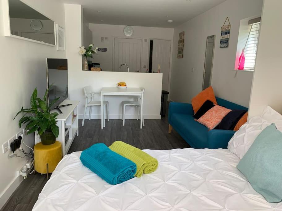 BOURNEMOUTH Nr TOWN BEACH TRAIN COACH SHOPS Lovely ENTIRE APARTMENT ALLOWS QUIET GOOD DOGS - Housity