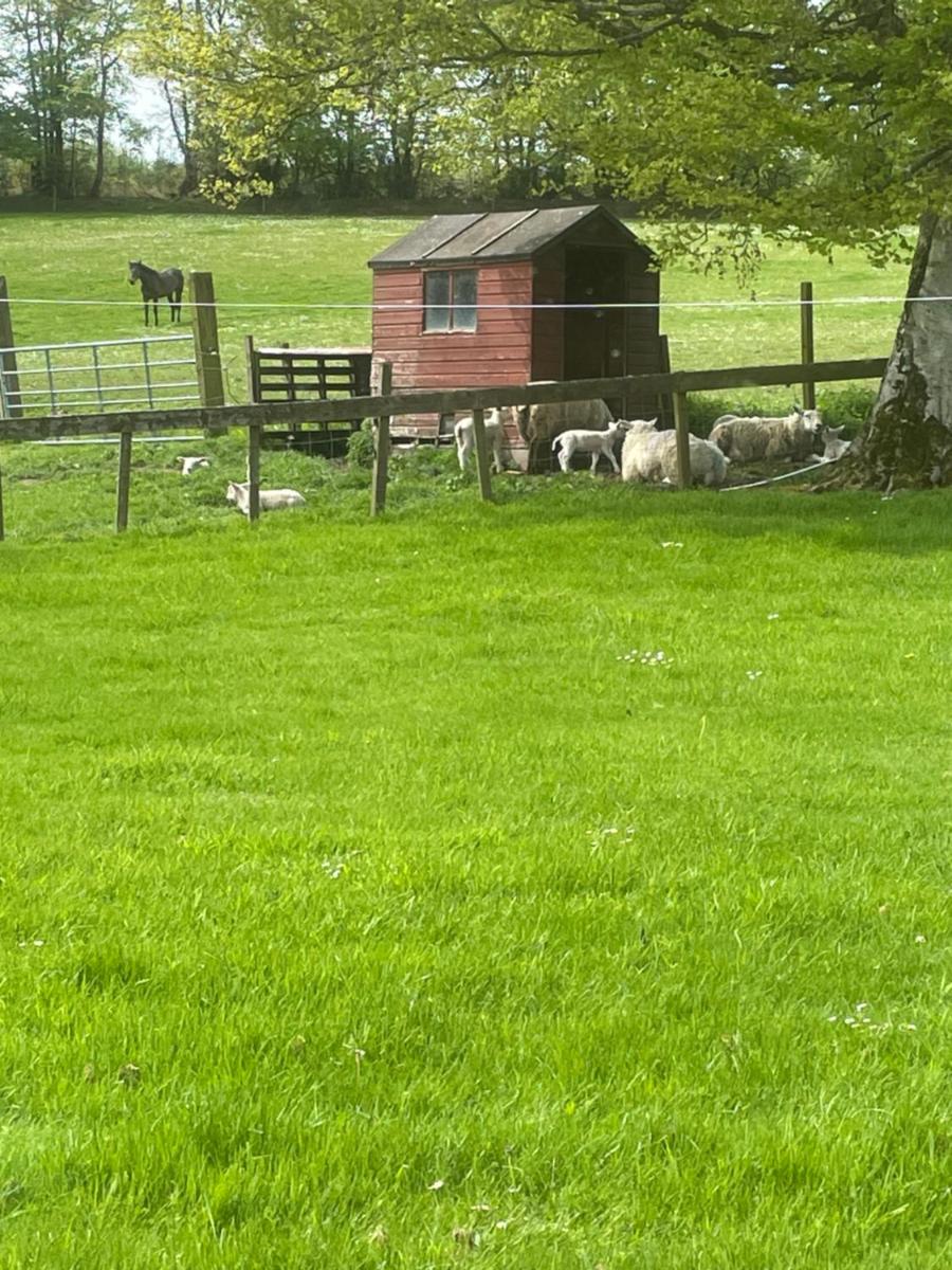 Corehouse Farm Cottages - Dairy, Granary & Sawmill - Housity
