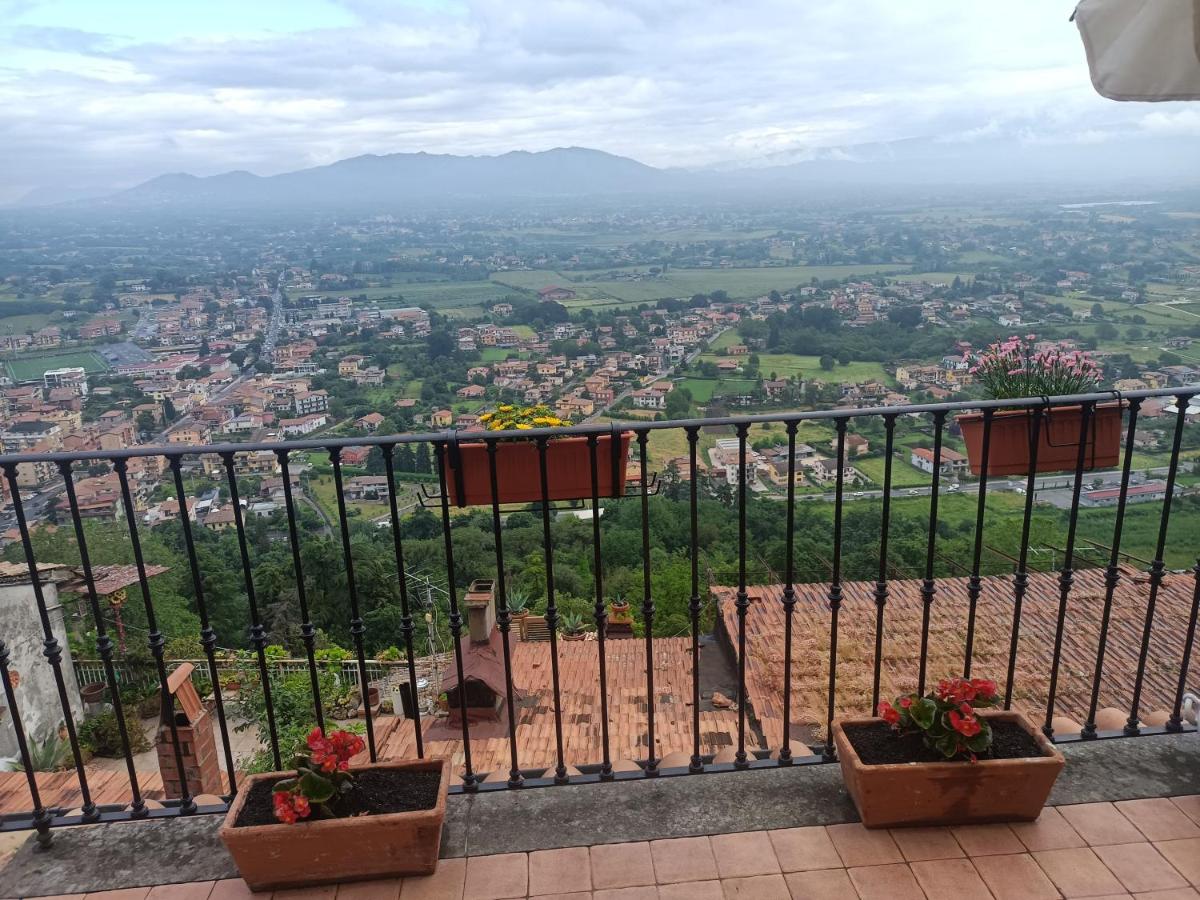 B&B Dell' Artista - Housity