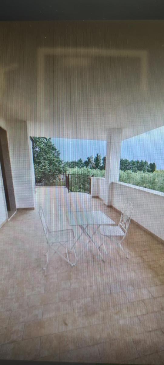 B&B Uliveto - Housity