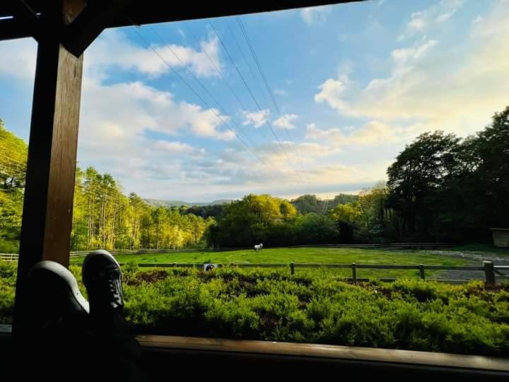 Ironbridge Lodge - Housity