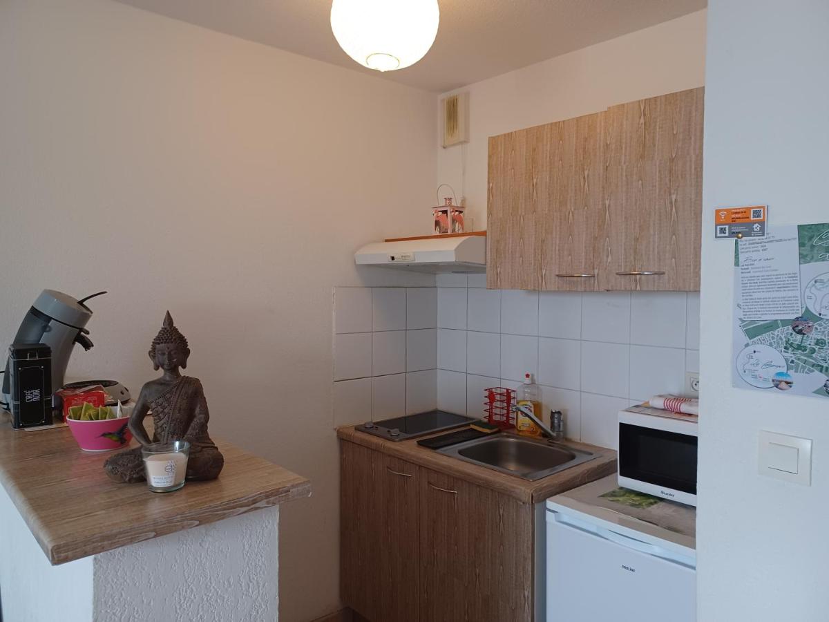 Studio terrasse cosy Arles Luma - Housity