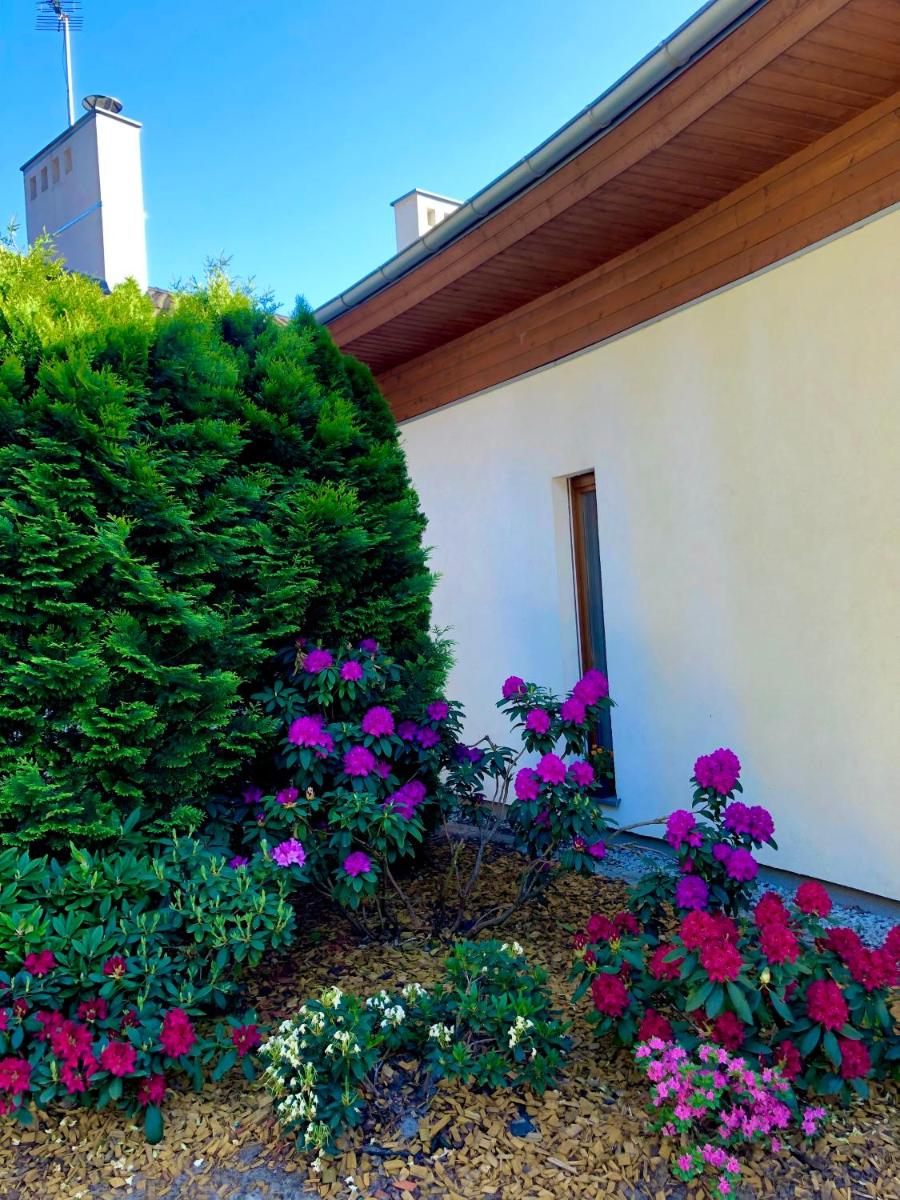 Apartament przy lesie - Housity