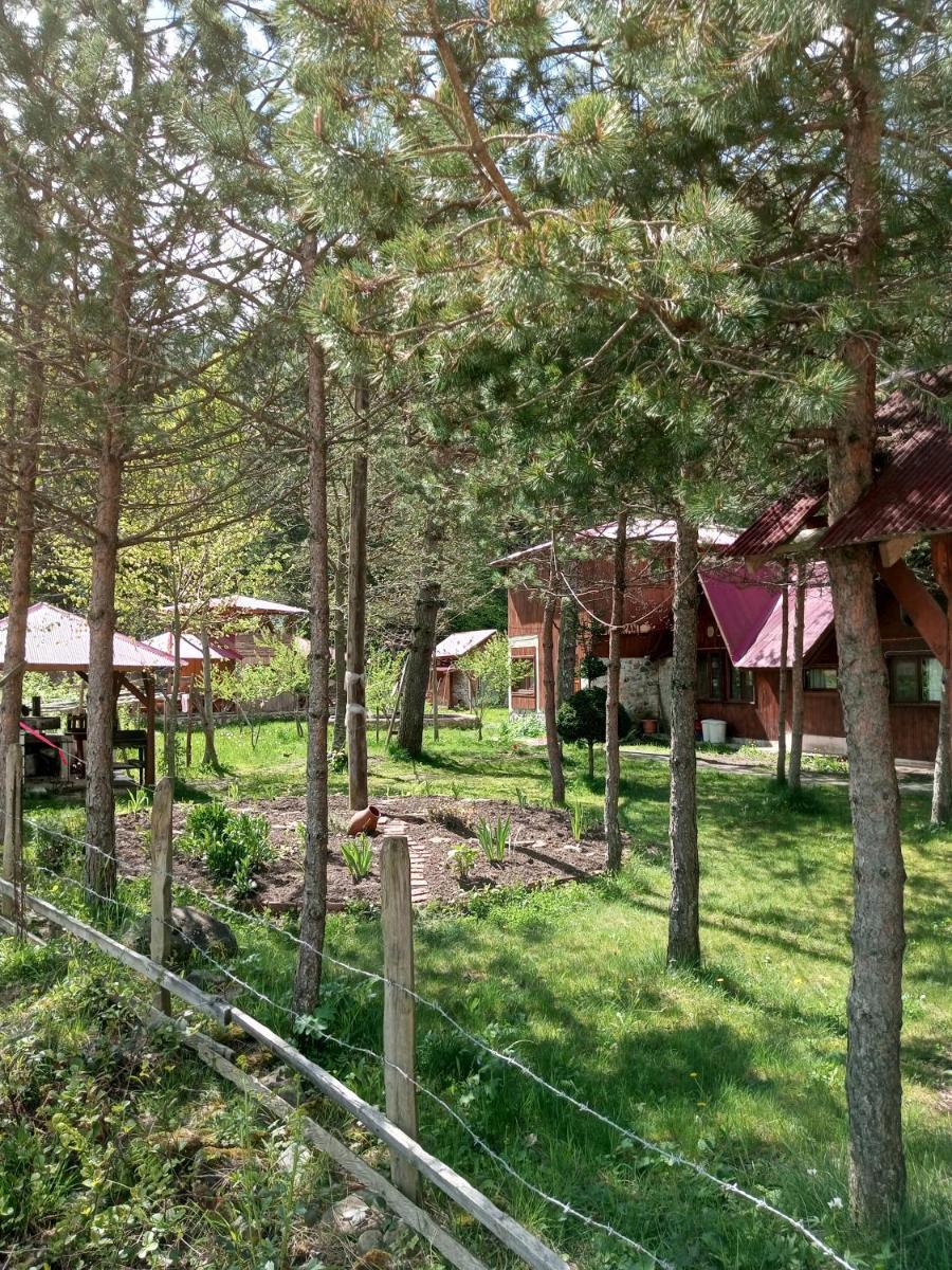Doga ile basbasa Eko yayla - Housity