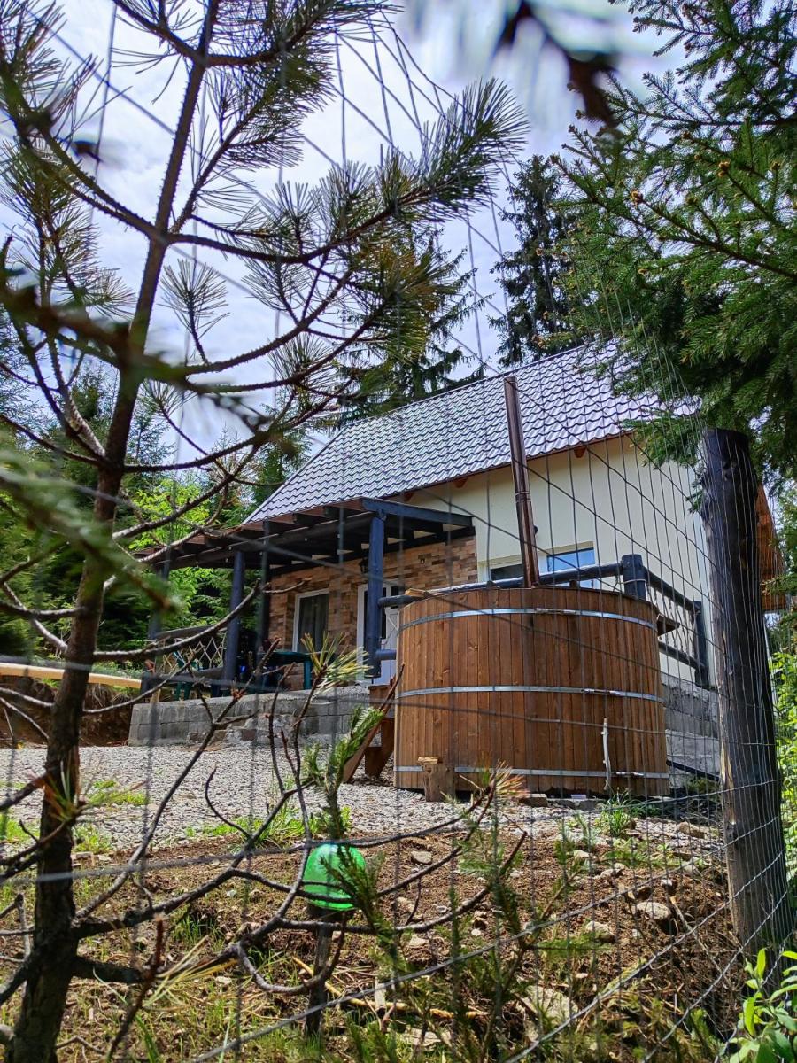 Cabana Muntelui - Housity
