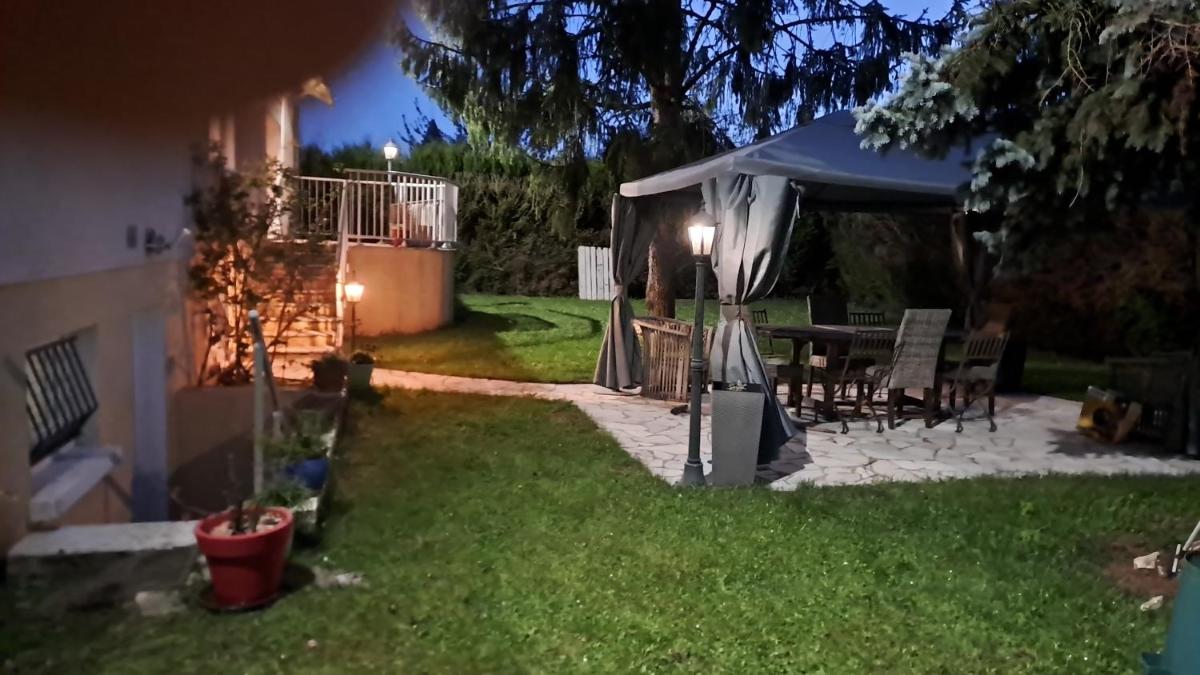 Grain de blé Location - Housity