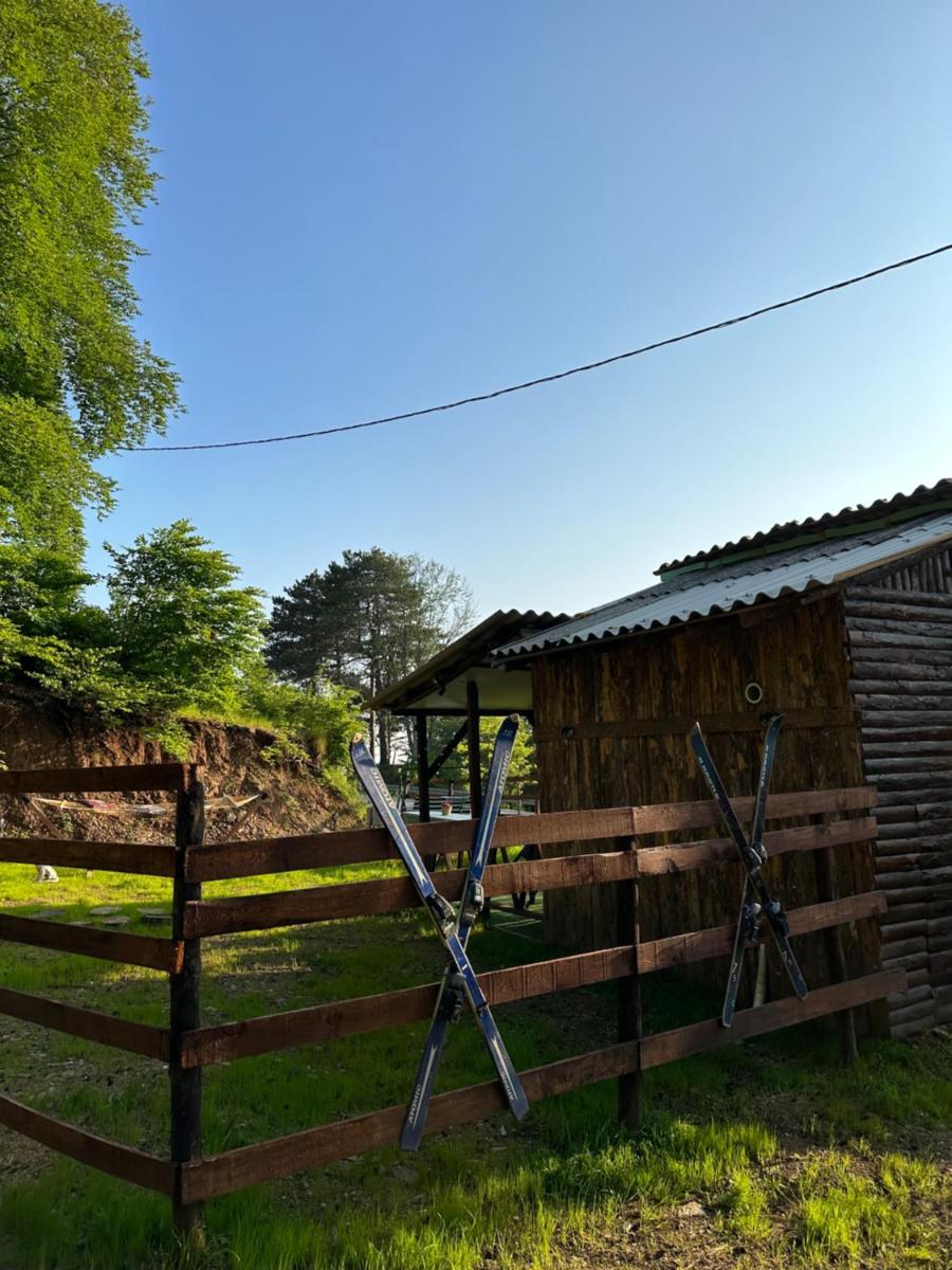 Suitetrails - Bear House Uludağ Bungalov