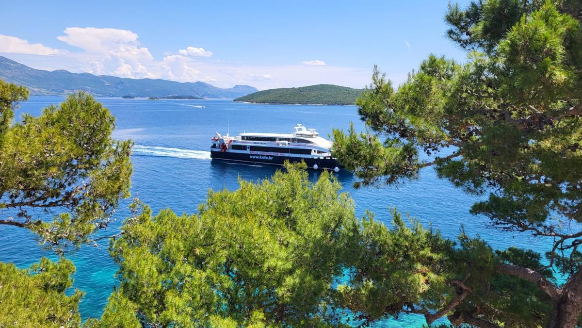 Old Town Sea Front M&M Apartment Korčula - Hizvo