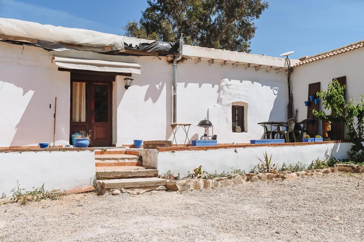 Experience Alpacas in Andalucia - Housity