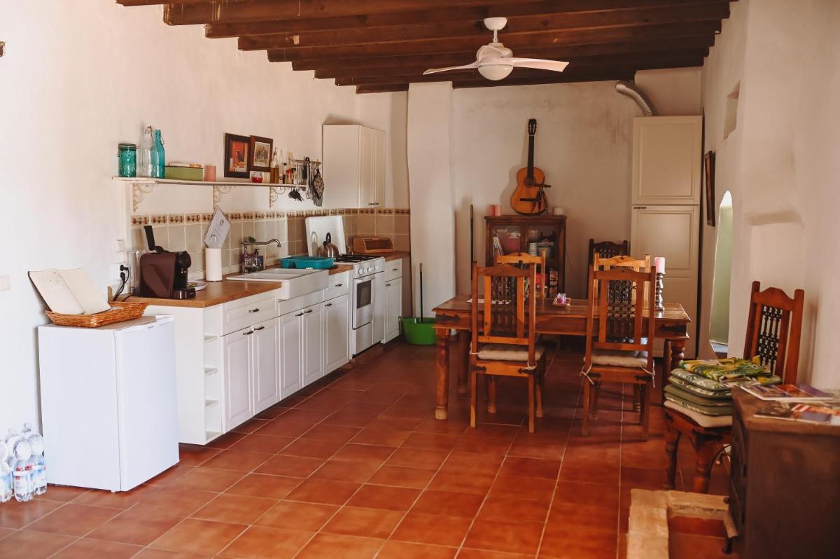 Experience Alpacas in Andalucia - Housity