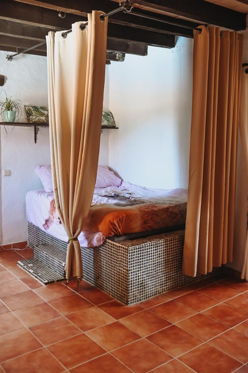 Experience Alpacas in Andalucia - Housity