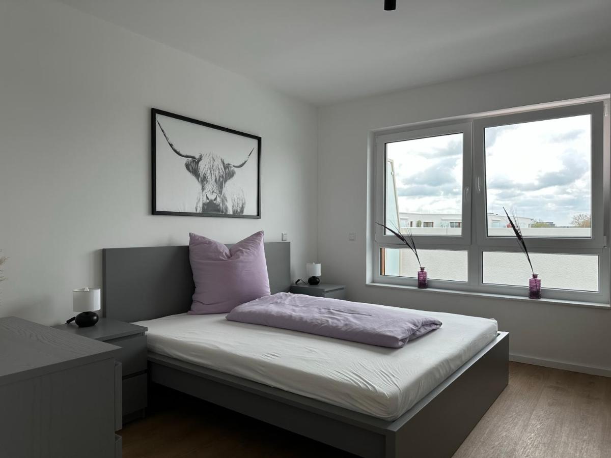 Ostwall Terrassen Apartment 5.29 - Housity