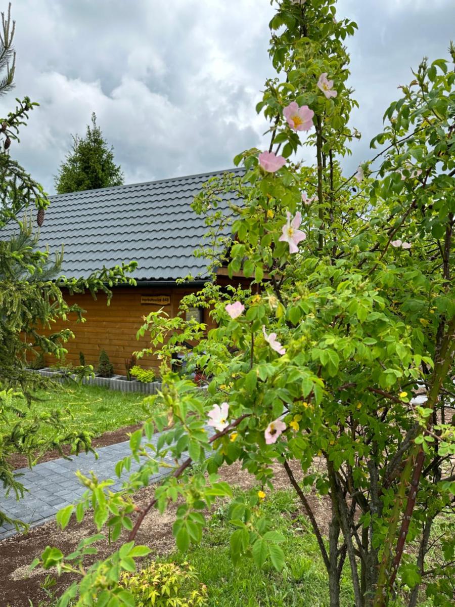 Lawendowy Domek TP - Housity