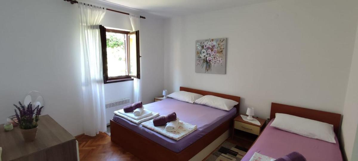 Delfin Apartments - Housity