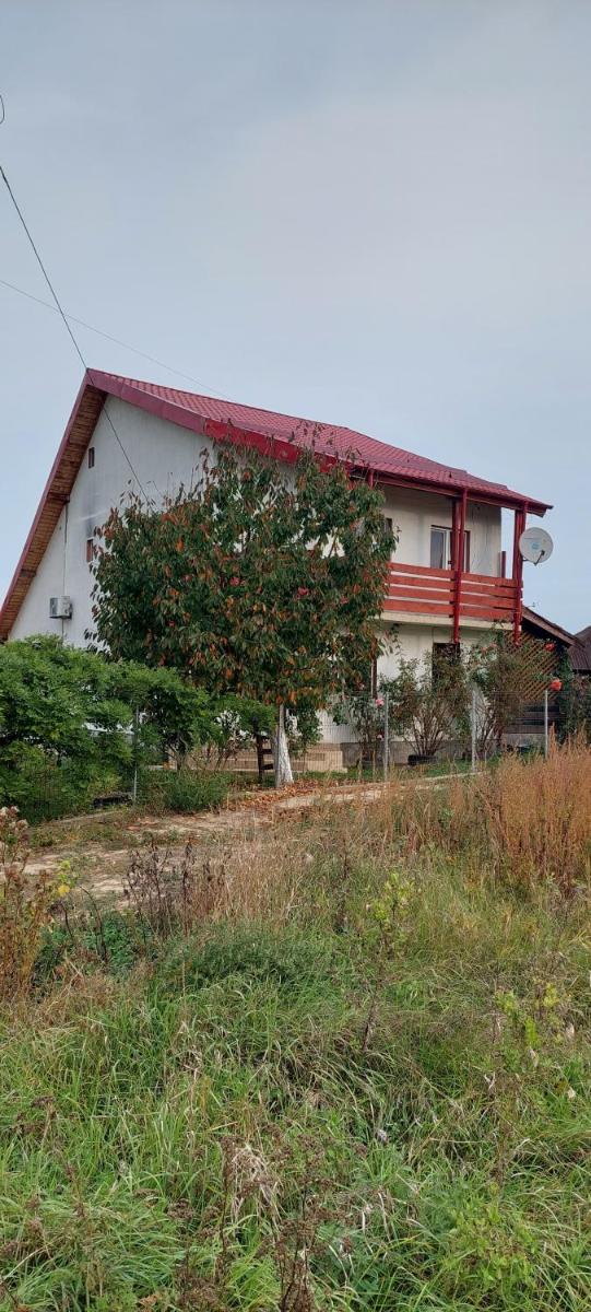 Casa Dorului - Housity