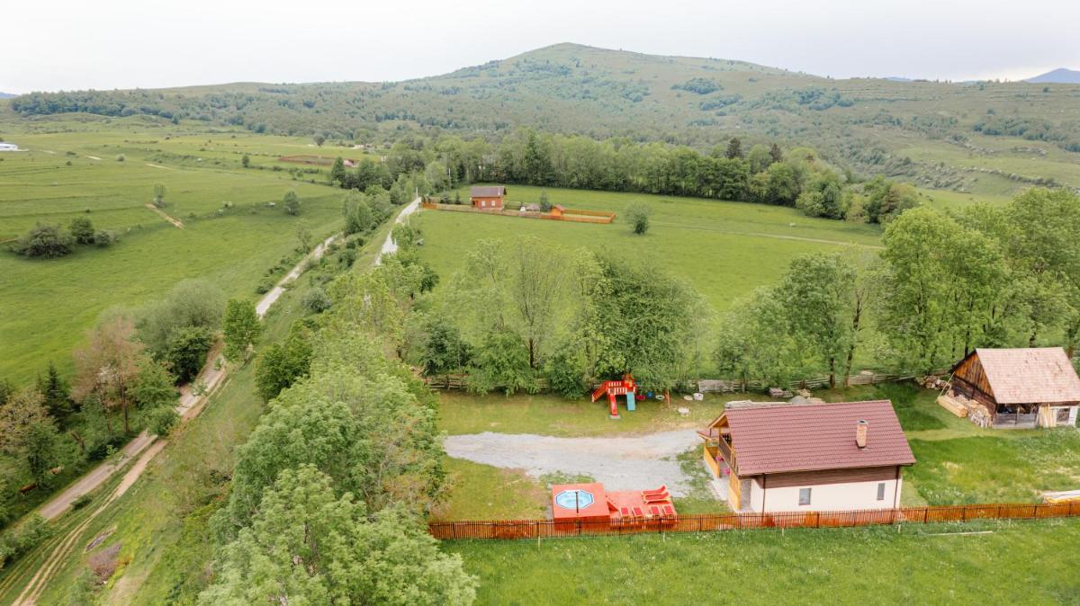 Flori din Deal - Housity
