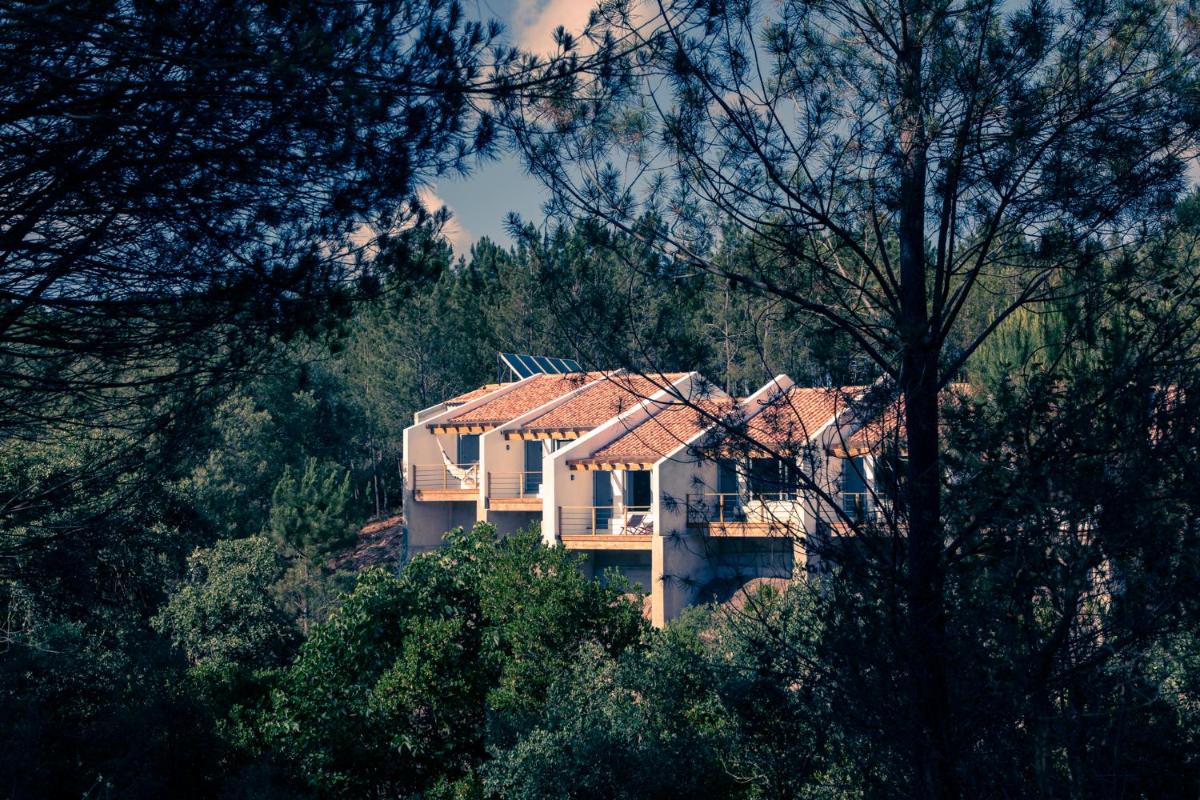 Quinta Camarena - Housity