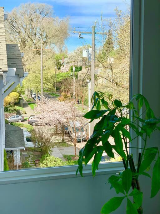Lofty Studio Prime Cap Hill Area Mins to Downtown - Housity