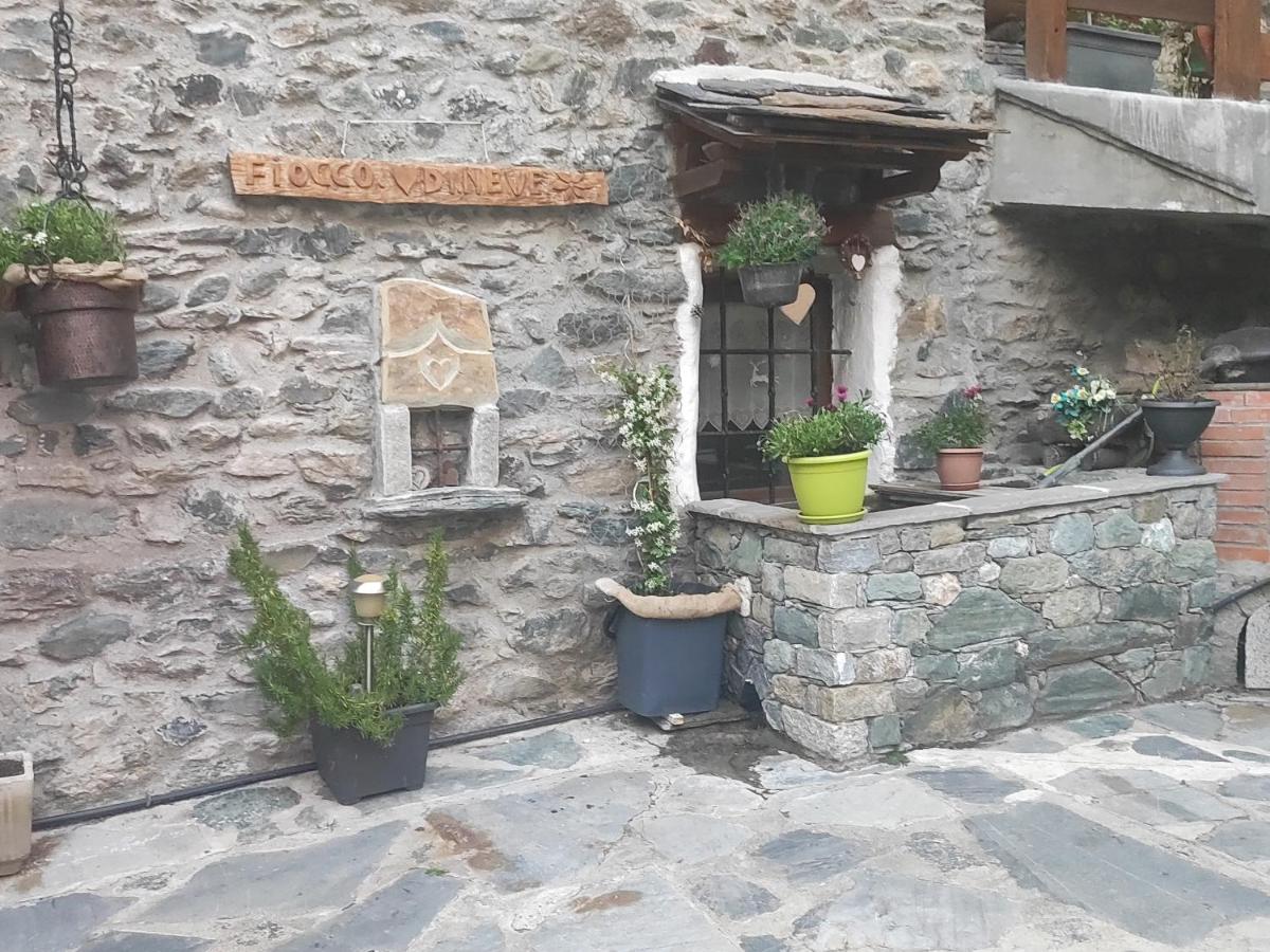 Fiocco di Neve - Housity
