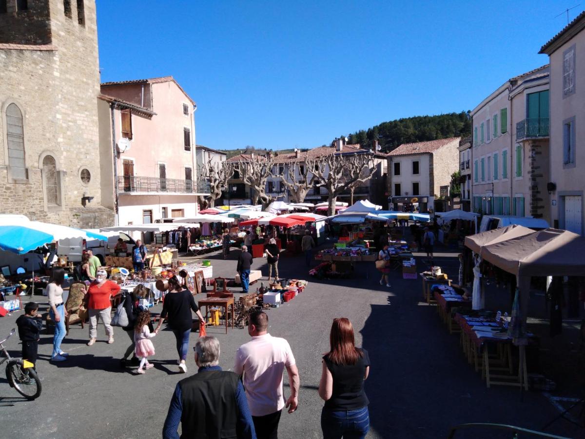 Les Toiles du Figuier - Housity