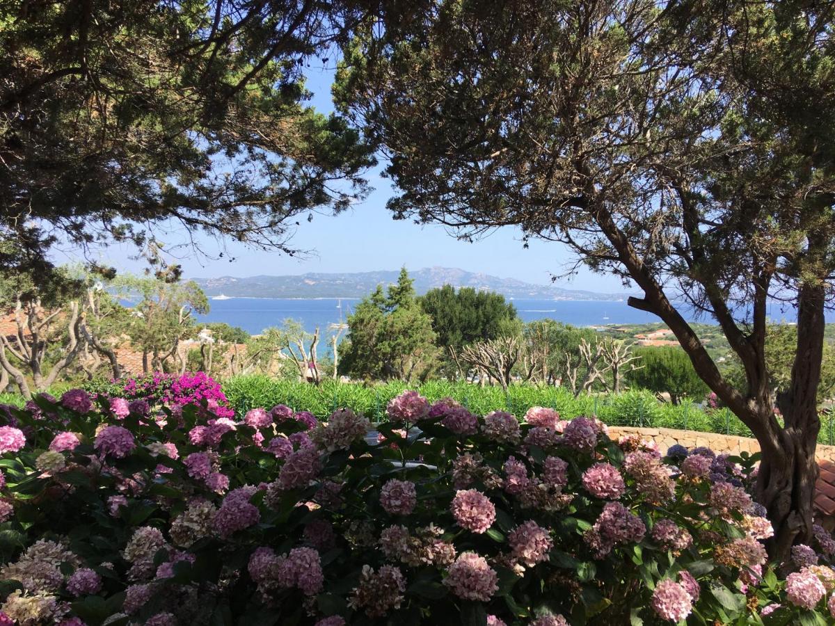 Punta Lada - Housity