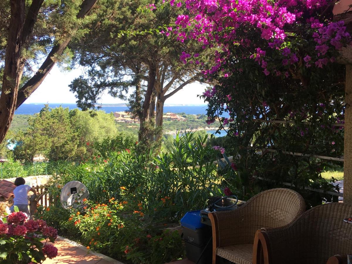 Punta Lada - Housity