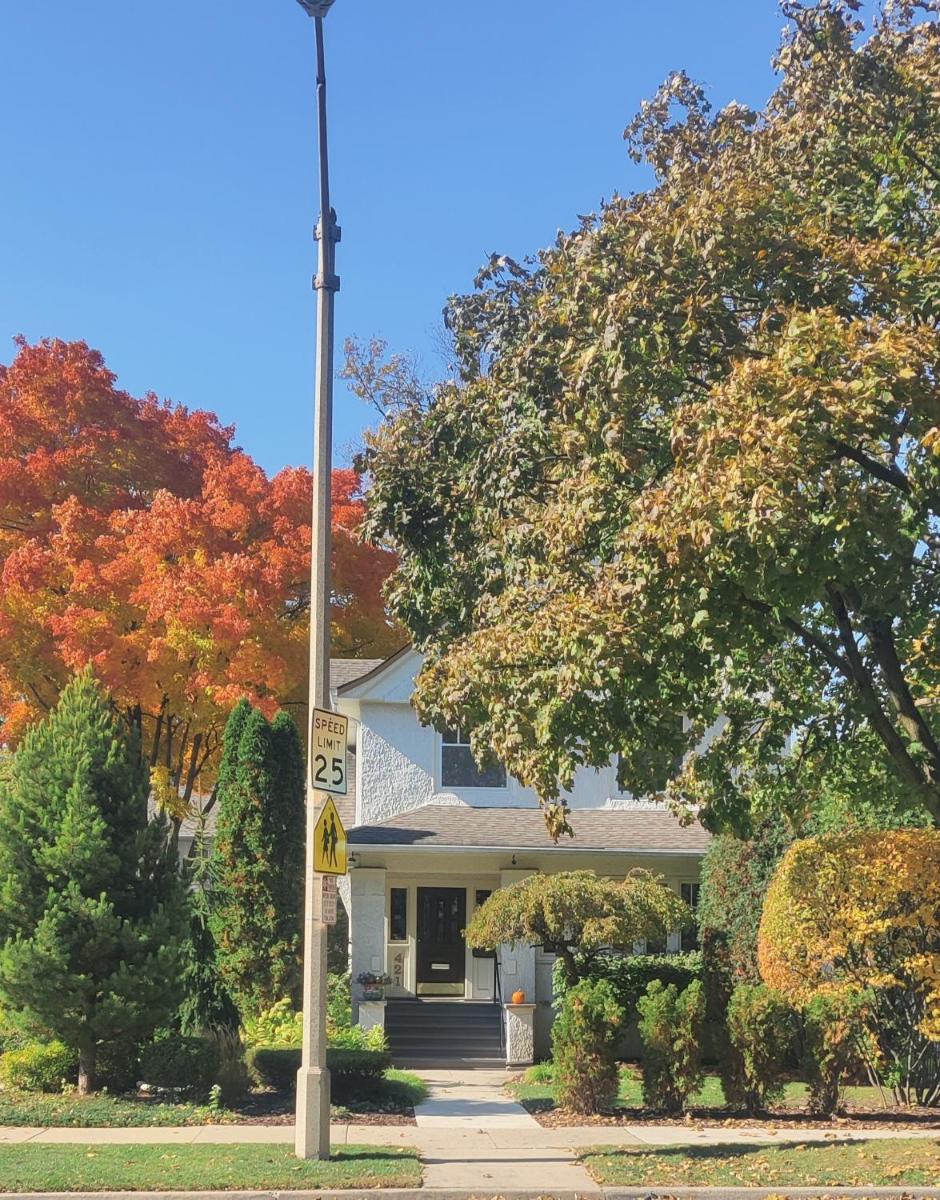 Historic Oakpark Home - Housity