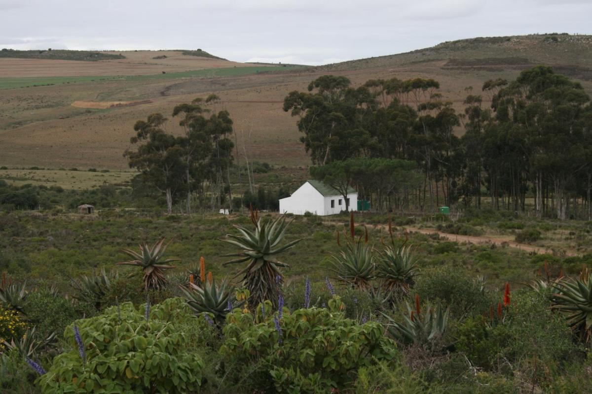 Infinity farm - Housity