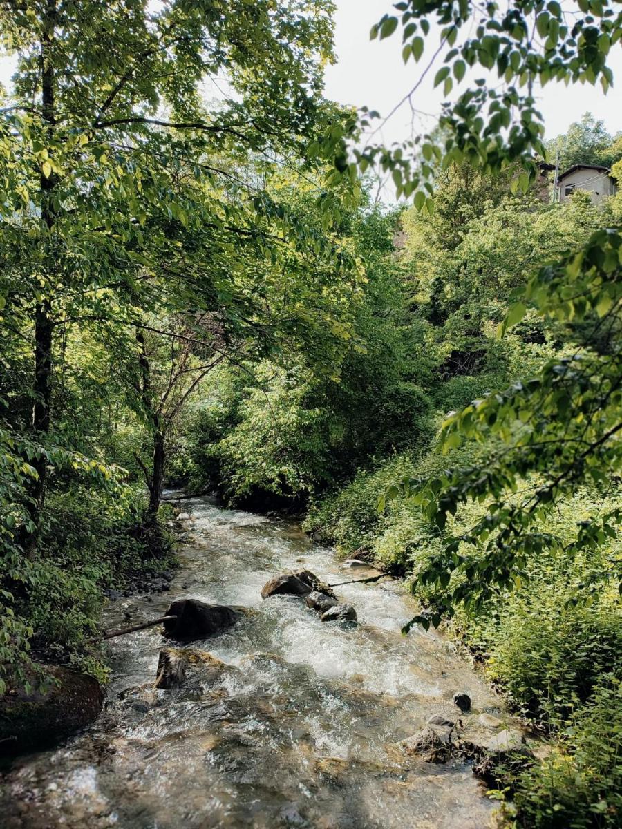 Moulin vieux - Housity