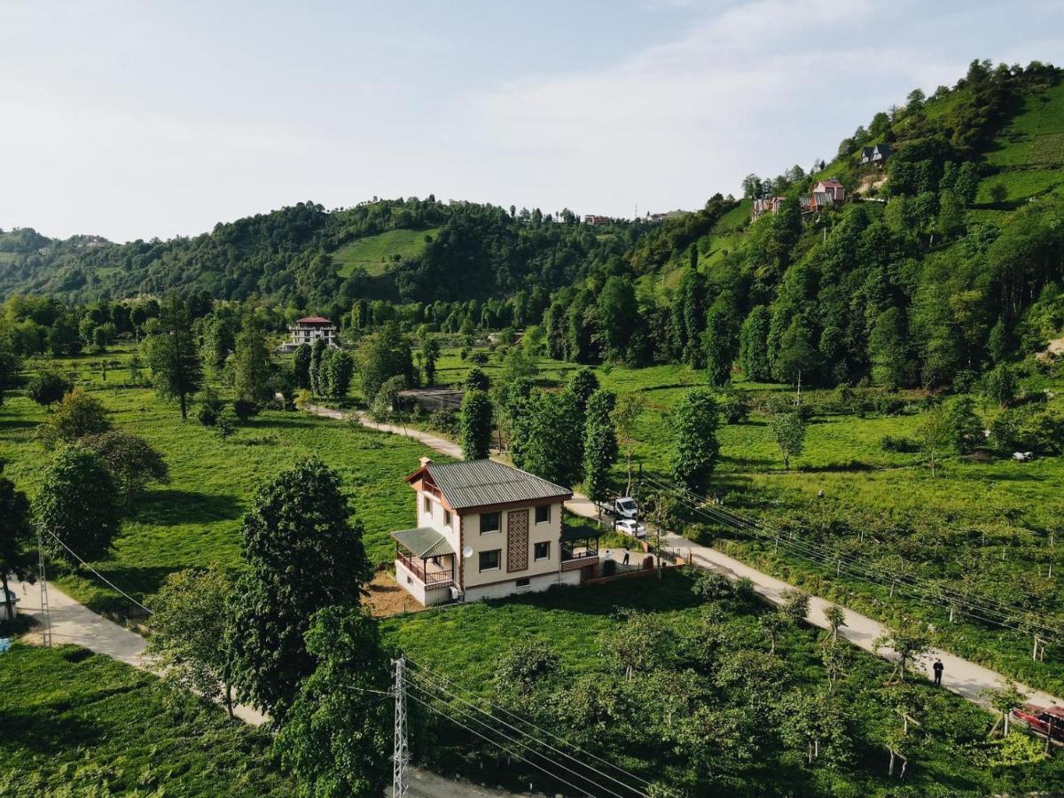 Zeni Villa - Fırtına Deresinde mükemmel konaklama - Housity