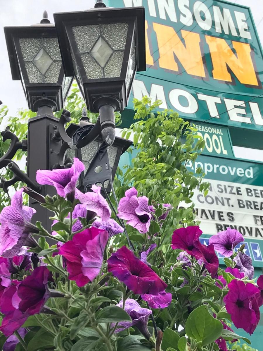 Winsome Inn - Housity