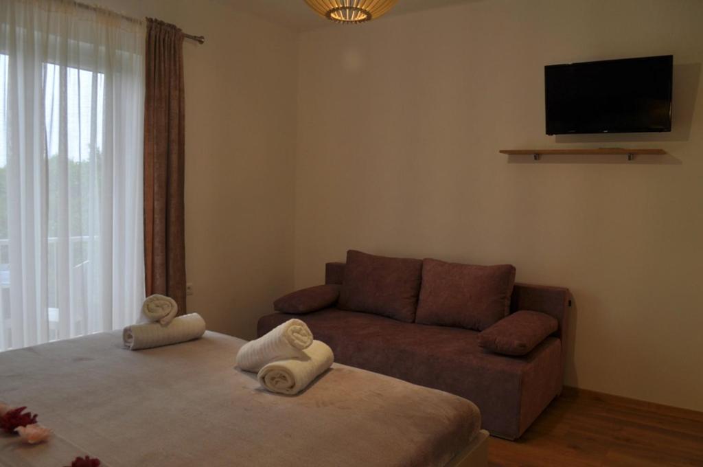 Apartments Ratko - Housity