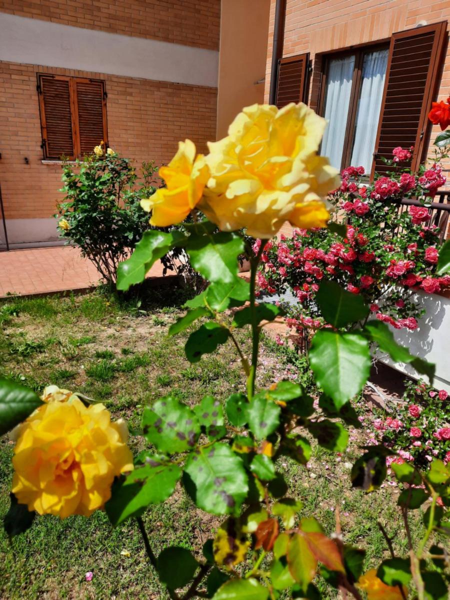 Casa Gianfranco - Housity
