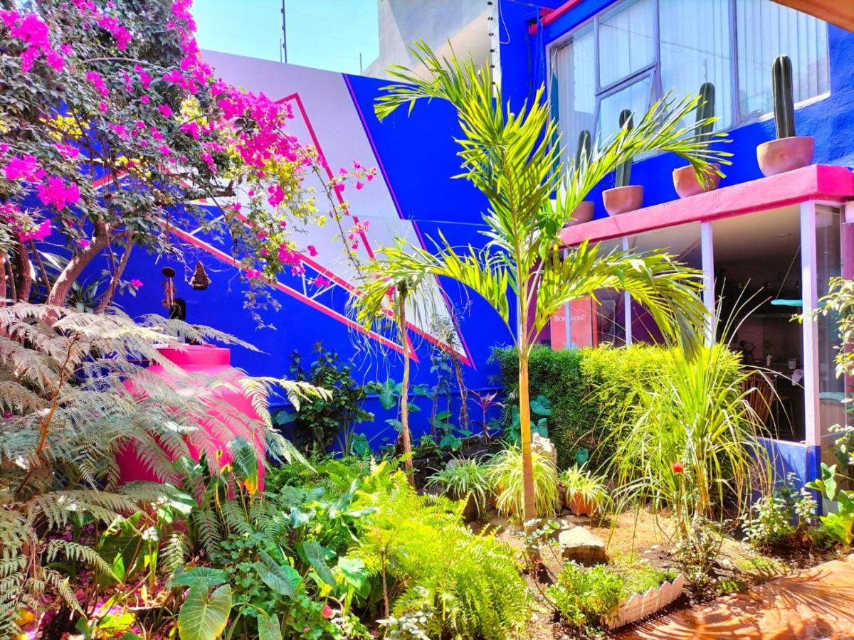 Casa Maguey - Housity