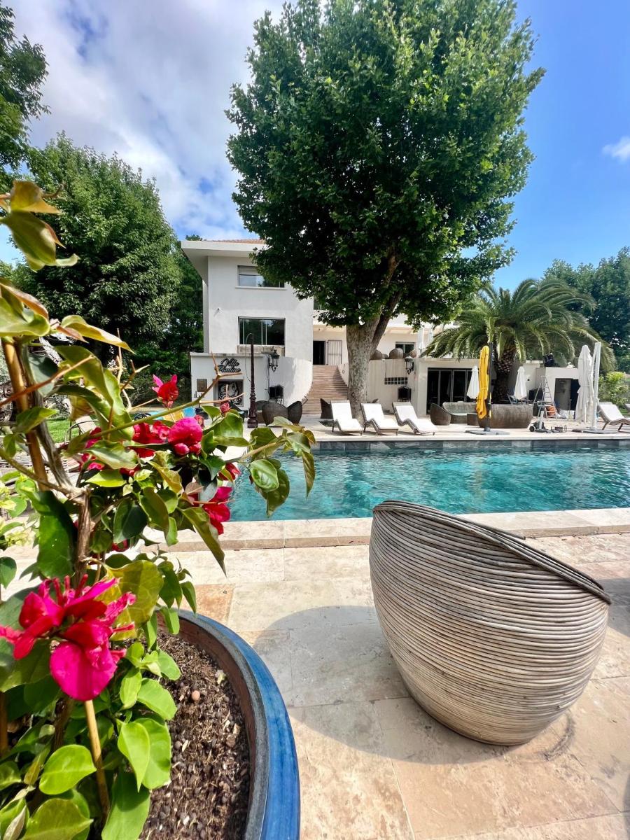 Villa Pauline - Housity