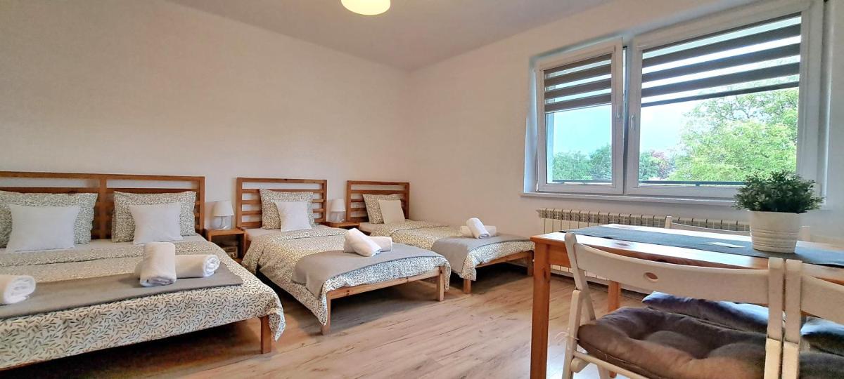 Pokoje i Apartamenty na Szkolnej - Housity