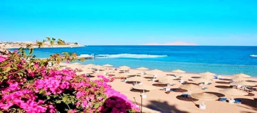 One-Bedroom Apartment at Domina Coral Bay - Housity